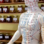 Human statue marked with meridian lines used in Traditional Chinese Medicine and energy-based healing practices